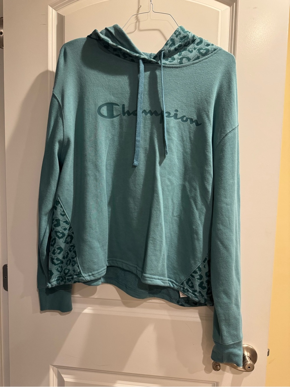 Champion Teal Hooded Pullover with Leopard Accent